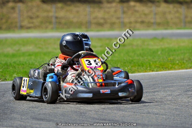 DSC_ (1538).jpg